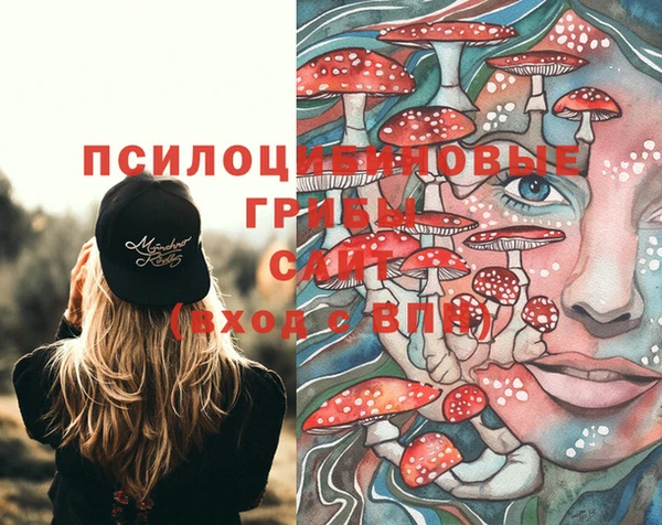 тгк Краснослободск