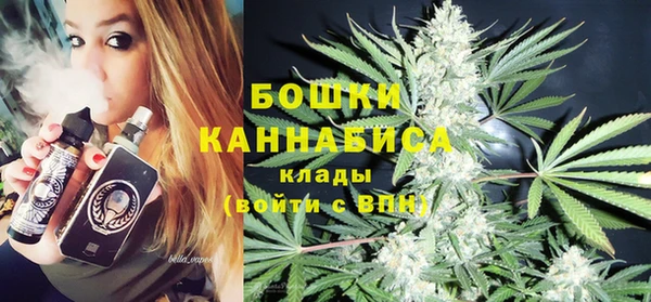 тгк Краснослободск