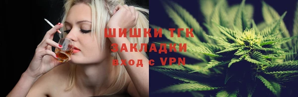 тгк Краснослободск