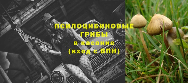 тгк Краснослободск