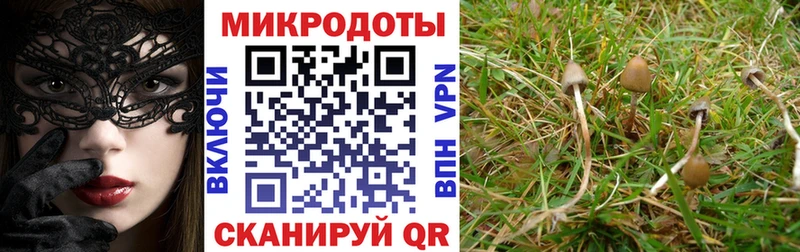 Галлюциногенные грибы Magic Shrooms  Топки 