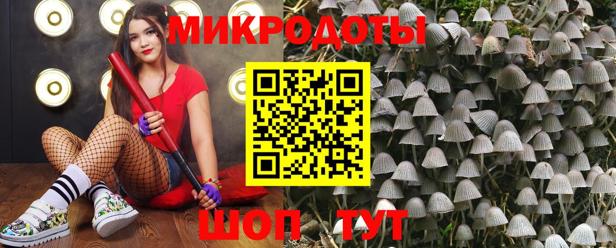 Галлюциногенные грибы Cubensis Топки