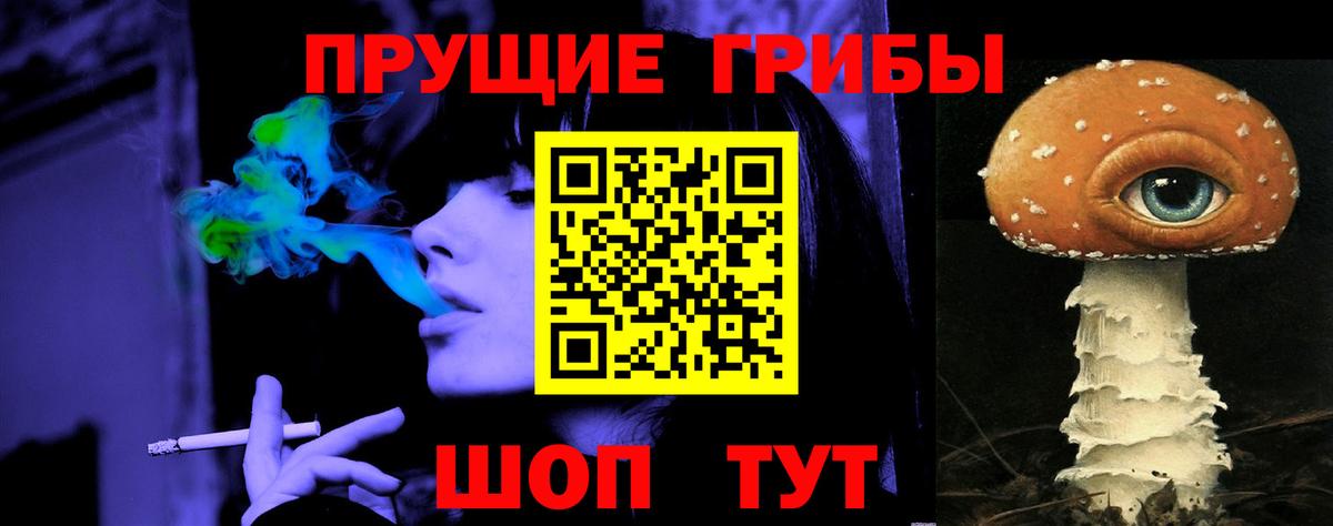 Галлюциногенные грибы Psilocybe Топки